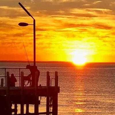 Mornington Peninsula Day Tour. Your Day Your Way. Your group only