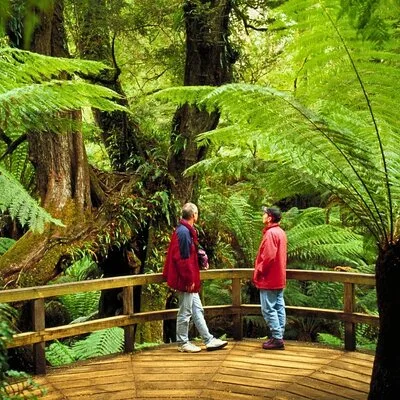 3 Day Combo: Great Ocean Road, Penguin Parade and FREE City Tour